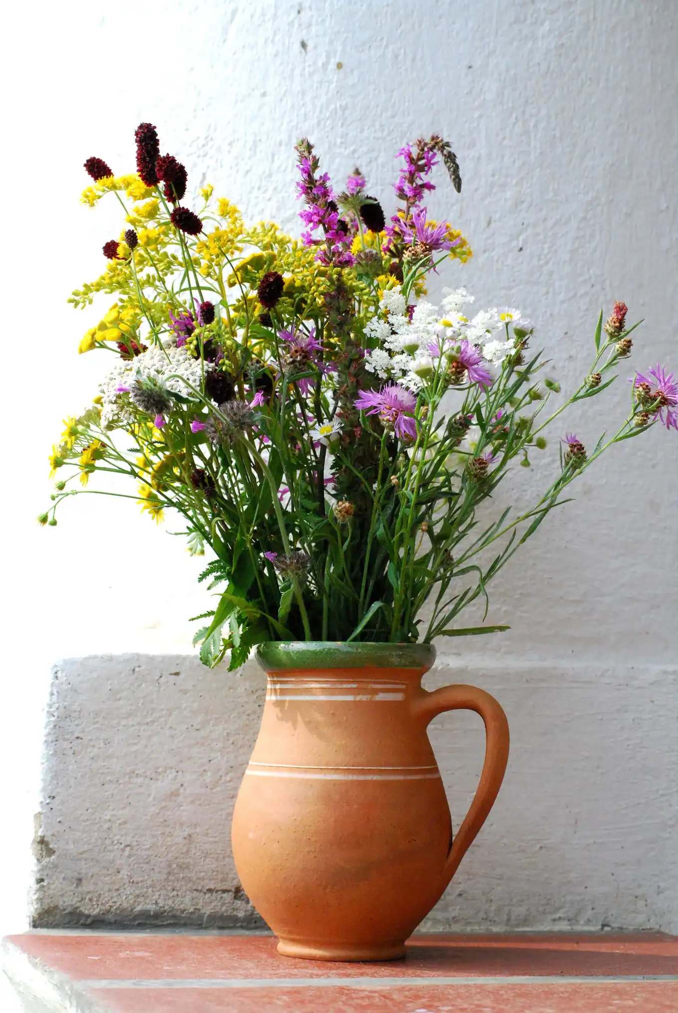 Composizione di fiori di campo in vaso